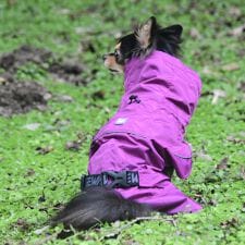 ジウォーク(GEWALK)のＳＨＥＬＬ　ＪＡＣＫＥＴ　ＥＣＯ