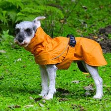 ジウォーク(GEWALK)のＳＨＥＬＬ　ＪＡＣＫＥＴ　ＥＣＯ