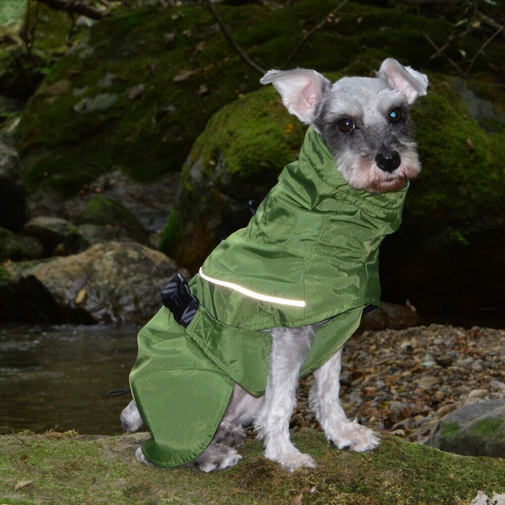 [}C]SHELL JACKET ECO/WEH[NiGEWALKj O[