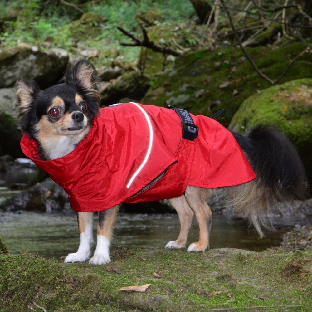 [�}���C]SHELL JACKET ECO/�W�E�H�[�N�iGEWALK�j ���b�h