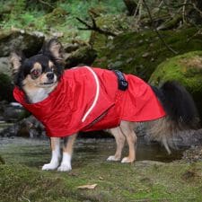 ジウォーク(GEWALK)のＳＨＥＬＬ　ＪＡＣＫＥＴ　ＥＣＯ