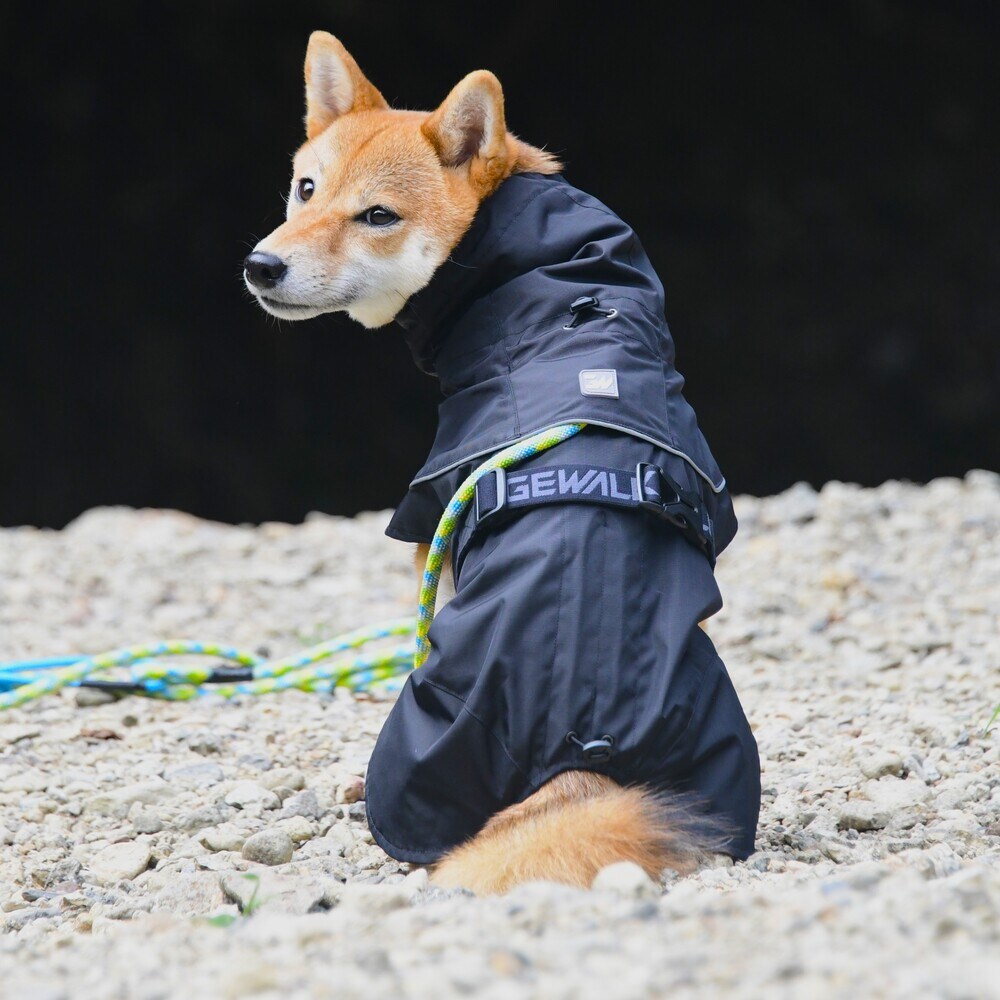 [}C]SHELL JACKET ECO/WEH[NiGEWALKj ubN