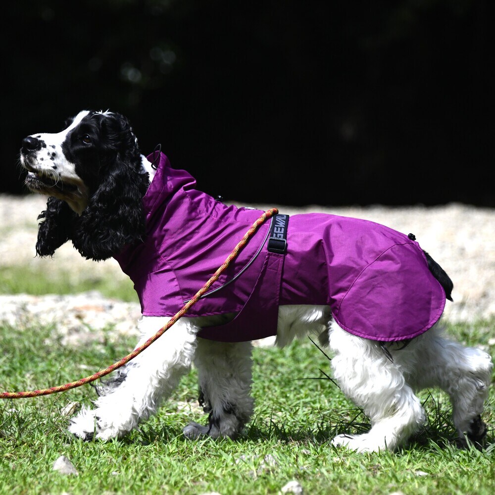 [�}���C]SHELL JACKET ECO/�W�E�H�[�N�iGEWALK�j �p�[�v��