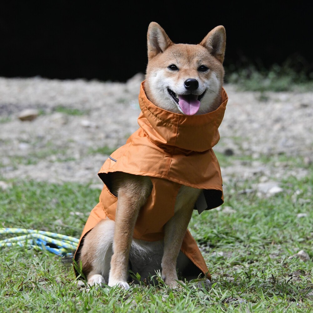 [�}���C]SHELL JACKET ECO/�W�E�H�[�N�iGEWALK�j �x�[�W��