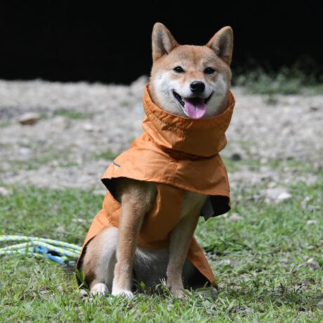 [^:LGE611-5000]yʂ̃VFWPbg͎^т₷lXȓVɓKĂ܂B}ȉJ̒łAAhHɂ萅DȂǂ̉ꂩ爤AȒPłB񌳂͒߂邱ƂłdlŁA񂩂̐≘̐Nh܂Bnɂ͌dq?̗pȊ̉𗘗pAԊOt˂AԊO̕ۉpɂÂ₷ƂȂɓK̉YT|[g܂B܂Aߕ̉x⎼xRg[AɂANKITCN@ۂ̗pAɔz@\yʃWPbgłB΋Cɋ߂ÂAɂȂꏊɕۊǂȂŉB@E@͔AK􂢁ERĉB܂gpĐ􂤍ۂɂ͒܂gpAY܂̎gp͔ĉBFF肷鋰ꂪ܂̂ő̕ƈꏏɐ킸AKPi􂢂ĉBԐɐZĂƐF鋰ꂪ܂B^u[͏kދꂪ܂̂łBvgE}[N̂ݐ􂢂ƃAC͂BgppxɂjAiꍇ܂Bjꂽۂɂ́ǍɂȂ܂̂ŁAɎgp𒆎~ĉBݍ񂾏ꍇɂ͂ɎoAbtɂkB