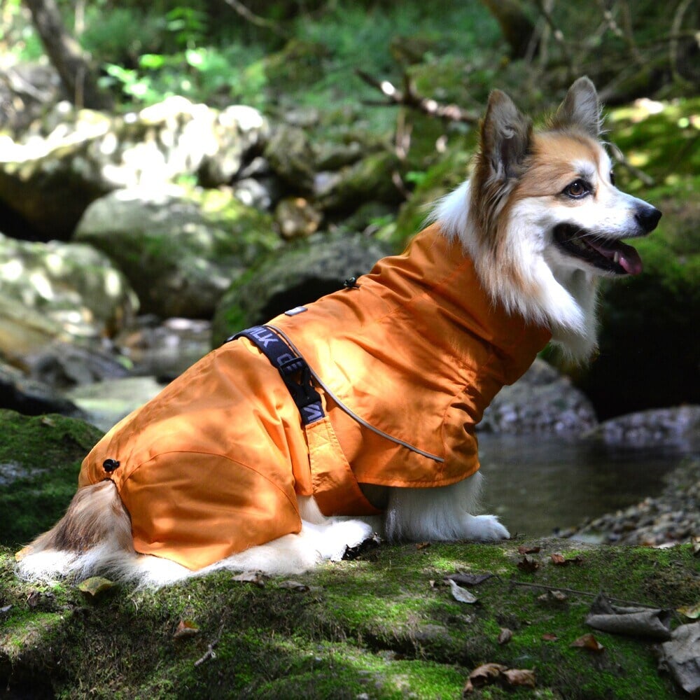 [�}���C]SHELL JACKET ECO/�W�E�H�[�N�iGEWALK�j �I�����W