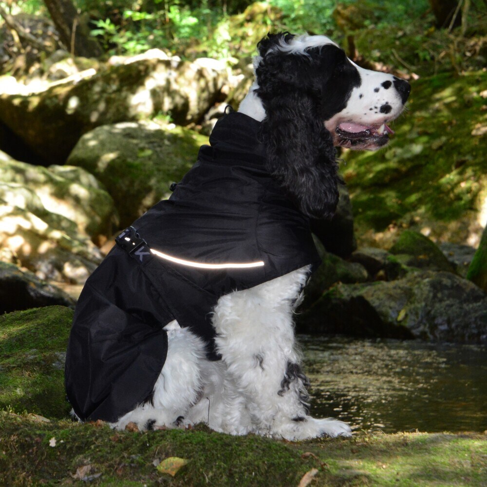 [�}���C]SHELL JACKET ECO/�W�E�H�[�N�iGEWALK�j �u���b�N