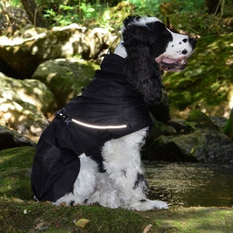 [^:LGE611-5000]yʂ̃VFWPbg͎^т₷lXȓVɓKĂ܂B}ȉJ̒łAAhHɂ萅DȂǂ̉ꂩ爤AȒPłB񌳂͒߂邱ƂłdlŁA񂩂̐≘̐Nh܂Bnɂ͌dq?̗pȊ̉𗘗pAԊOt˂AԊO̕ۉpɂÂ₷ƂȂɓK̉YT|[g܂B܂Aߕ̉x⎼xRg[AɂANKITCN@ۂ̗pAɔz@\yʃWPbgłB΋Cɋ߂ÂAɂȂꏊɕۊǂȂŉB@E@͔AK􂢁ERĉB܂gpĐ􂤍ۂɂ͒܂gpAY܂̎gp͔ĉBFF肷鋰ꂪ܂̂ő̕ƈꏏɐ킸AKPi􂢂ĉBԐɐZĂƐF鋰ꂪ܂B^u[͏kދꂪ܂̂łBvgE}[N̂ݐ􂢂ƃAC͂BgppxɂjAiꍇ܂Bjꂽۂɂ́ǍɂȂ܂̂ŁAɎgp𒆎~ĉBݍ񂾏ꍇɂ͂ɎoAbtɂkB