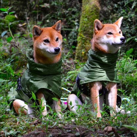 [^:LGE611-5000]yʂ̃VFWPbg͎^т₷lXȓVɓKĂ܂B}ȉJ̒łAAhHɂ萅DȂǂ̉ꂩ爤AȒPłB񌳂͒߂邱ƂłdlŁA񂩂̐≘̐Nh܂Bnɂ͌dq?̗pȊ̉𗘗pAԊOt˂AԊO̕ۉpɂÂ₷ƂȂɓK̉YT|[g܂B܂Aߕ̉x⎼xRg[AɂANKITCN@ۂ̗pAɔz@\yʃWPbgłB΋Cɋ߂ÂAɂȂꏊɕۊǂȂŉB@E@͔AK􂢁ERĉB܂gpĐ􂤍ۂɂ͒܂gpAY܂̎gp͔ĉBFF肷鋰ꂪ܂̂ő̕ƈꏏɐ킸AKPi􂢂ĉBԐɐZĂƐF鋰ꂪ܂B^u[͏kދꂪ܂̂łBvgE}[N̂ݐ􂢂ƃAC͂BgppxɂjAiꍇ܂Bjꂽۂɂ́ǍɂȂ܂̂ŁAɎgp𒆎~ĉBݍ񂾏ꍇɂ͂ɎoAbtɂkB