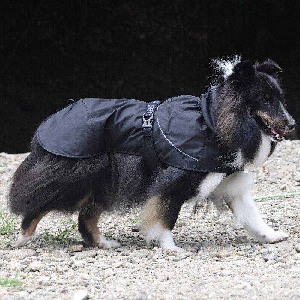 [}C]SHELL JACKET ECO/WEH[NiGEWALKj ubN