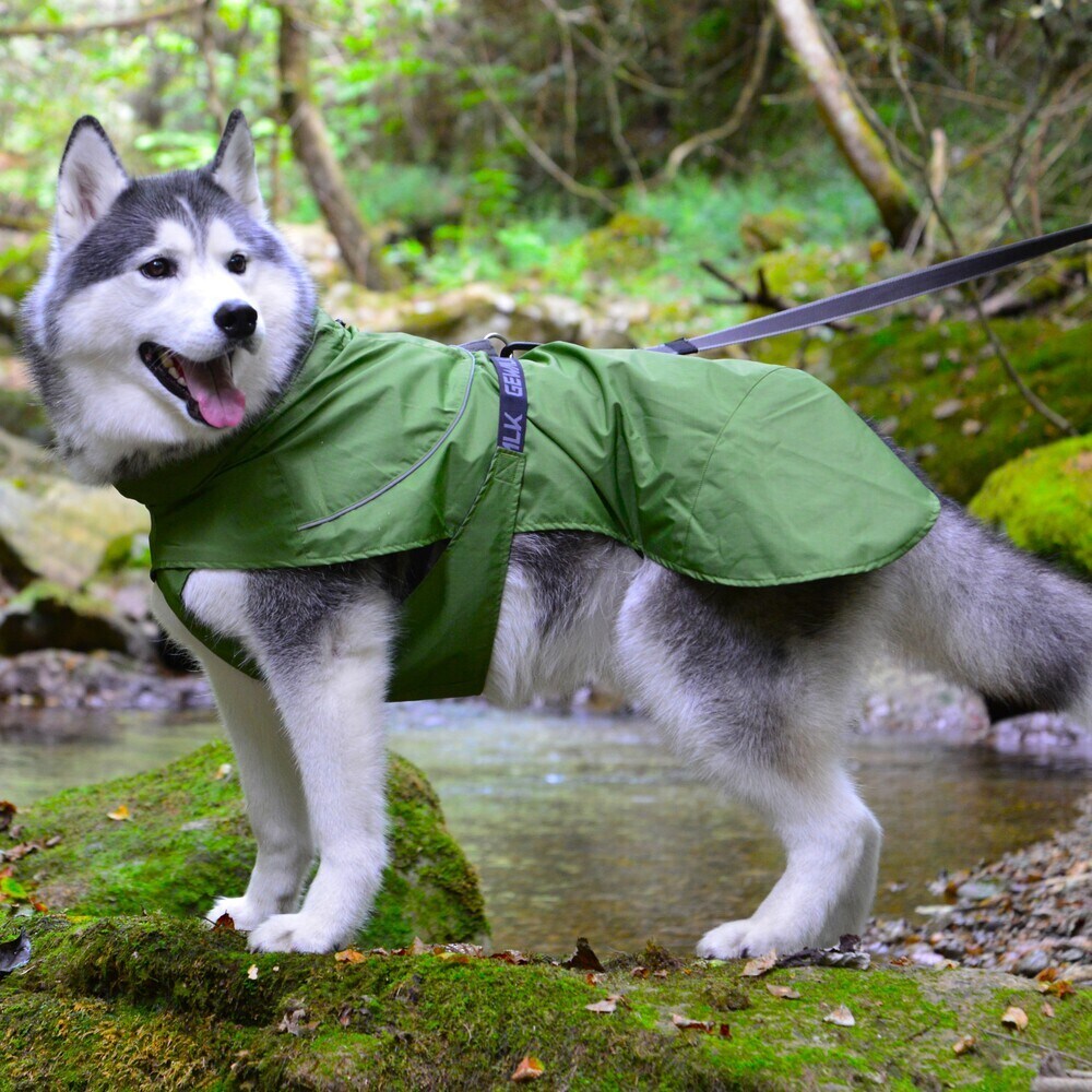 [�}���C]SHELL JACKET ECO/�W�E�H�[�N�iGEWALK�j �O���[��