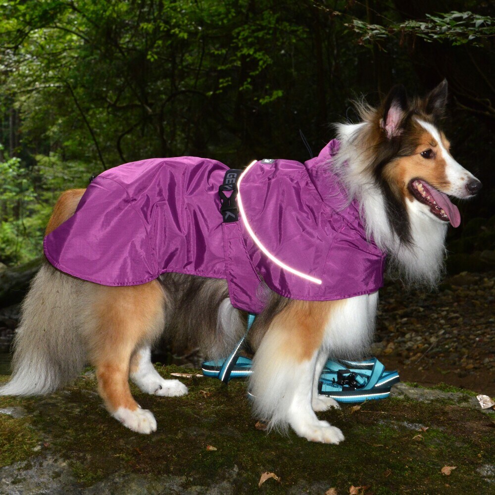 [}C]SHELL JACKET ECO/WEH[NiGEWALKj p[v