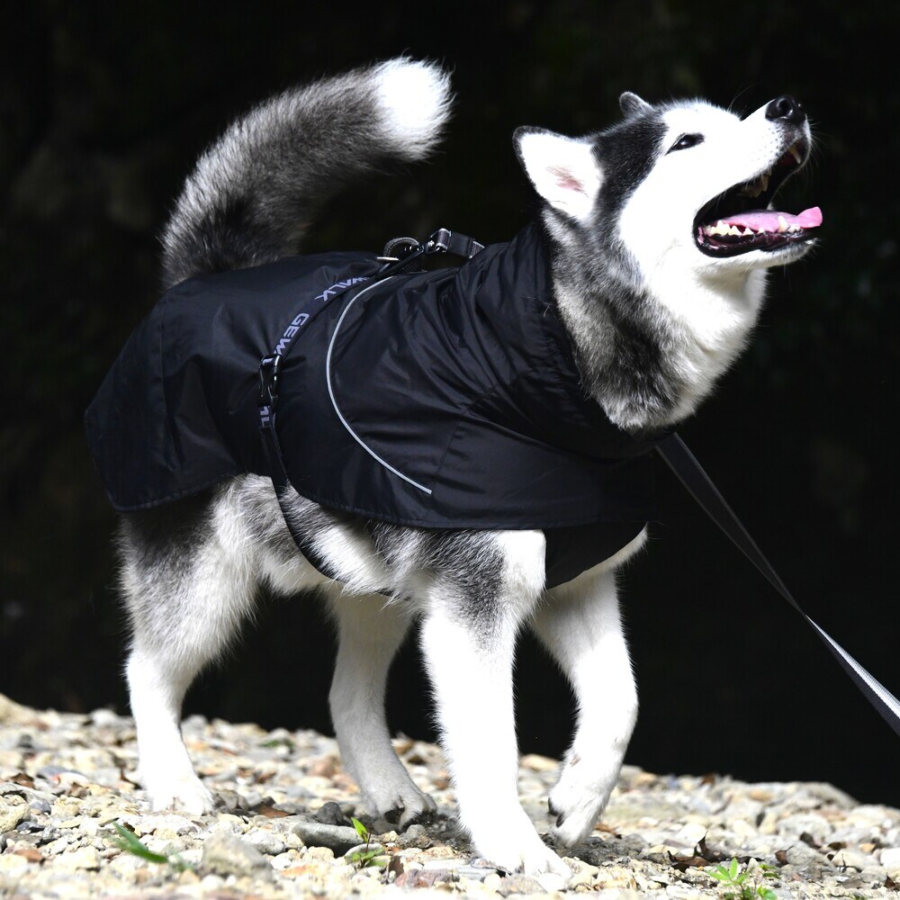 [}C]SHELL JACKET ECO/WEH[NiGEWALKj ubN