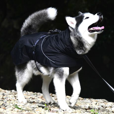 [^:LGE611-6500]yʂ̃VFWPbg͎^т₷lXȓVɓKĂ܂B}ȉJ̒łAAhHɂ萅DȂǂ̉ꂩ爤AȒPłB񌳂͒߂邱ƂłdlŁA񂩂̐≘̐Nh܂Bnɂ͌dq?̗pȊ̉𗘗pAԊOt˂AԊO̕ۉpɂÂ₷ƂȂɓK̉YT|[g܂B܂Aߕ̉x⎼xRg[AɂANKITCN@ۂ̗pAɔz@\yʃWPbgłB΋Cɋ߂ÂAɂȂꏊɕۊǂȂŉB@E@͔AK􂢁ERĉB܂gpĐ􂤍ۂɂ͒܂gpAY܂̎gp͔ĉBFF肷鋰ꂪ܂̂ő̕ƈꏏɐ킸AKPi􂢂ĉBԐɐZĂƐF鋰ꂪ܂B^u[͏kދꂪ܂̂łBvgE}[N̂ݐ􂢂ƃAC͂BgppxɂjAiꍇ܂Bjꂽۂɂ́ǍɂȂ܂̂ŁAɎgp𒆎~ĉBݍ񂾏ꍇɂ͂ɎoAbtɂkB