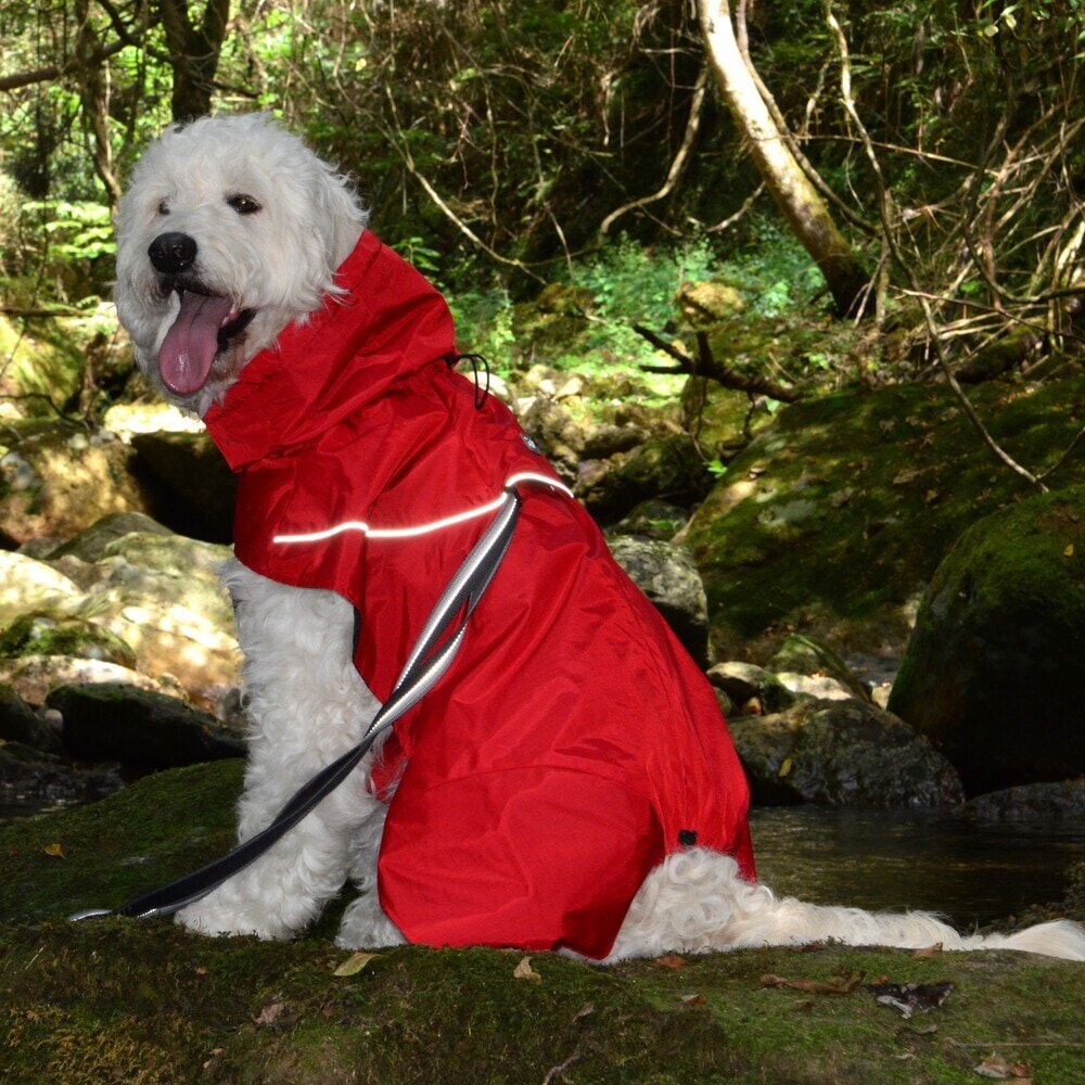 [�}���C]SHELL JACKET ECO/�W�E�H�[�N�iGEWALK�j ���b�h