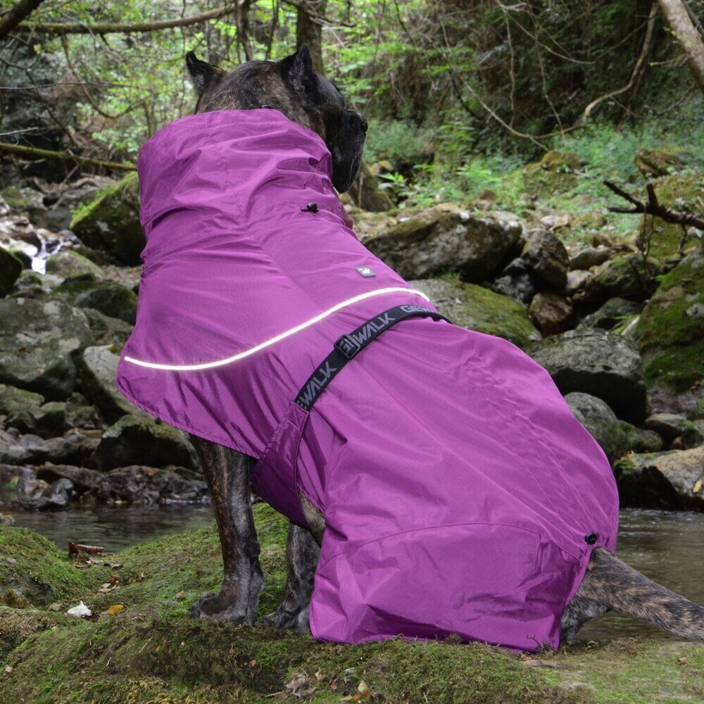 [�}���C]SHELL JACKET ECO/�W�E�H�[�N�iGEWALK�j �p�[�v��