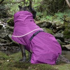 ジウォーク(GEWALK)のＳＨＥＬＬ　ＪＡＣＫＥＴ　ＥＣＯ