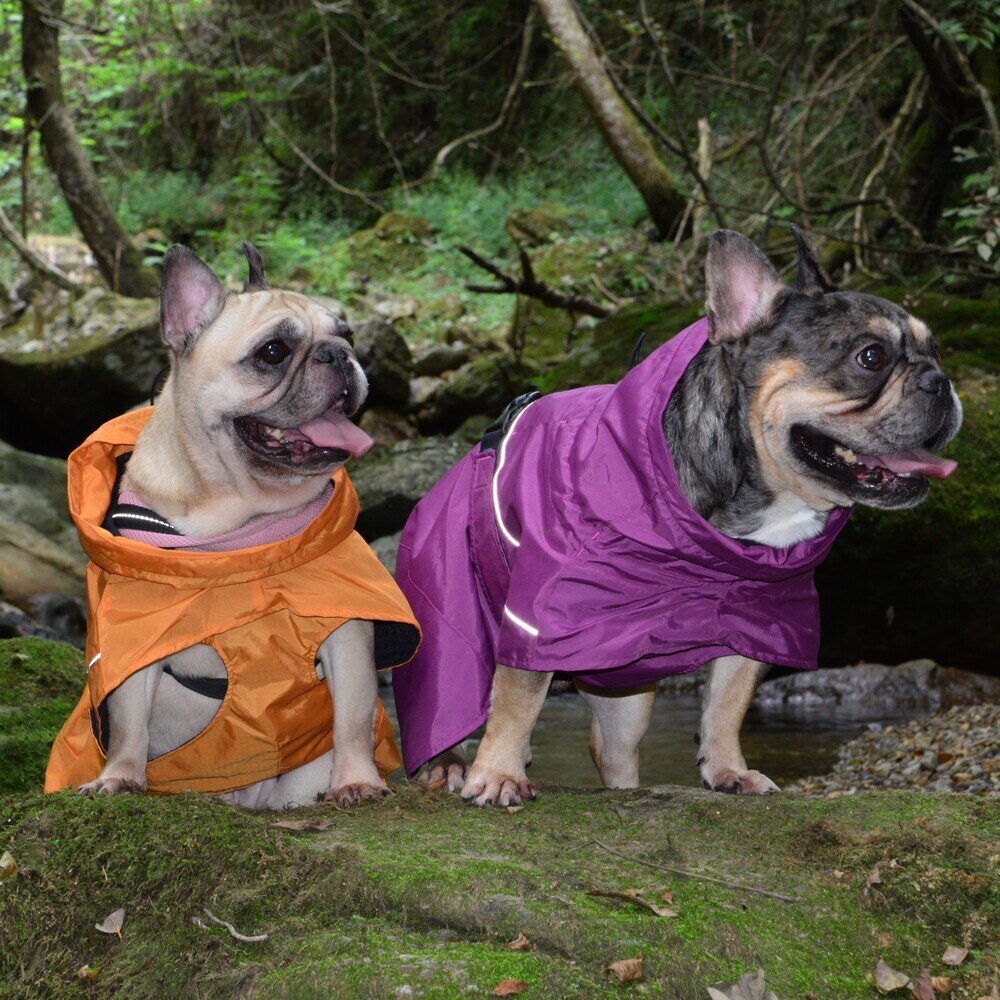 [}C]SHELL JACKET ECO/WEH[NiGEWALKj IW