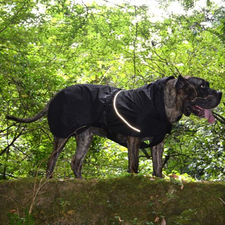 [^:LGE611-7500]yʂ̃VFWPbg͎^т₷lXȓVɓKĂ܂B}ȉJ̒łAAhHɂ萅DȂǂ̉ꂩ爤AȒPłB񌳂͒߂邱ƂłdlŁA񂩂̐≘̐Nh܂Bnɂ͌dq?̗pȊ̉𗘗pAԊOt˂AԊO̕ۉpɂÂ₷ƂȂɓK̉YT|[g܂B܂Aߕ̉x⎼xRg[AɂANKITCN@ۂ̗pAɔz@\yʃWPbgłB΋Cɋ߂ÂAɂȂꏊɕۊǂȂŉB@E@͔AK􂢁ERĉB܂gpĐ􂤍ۂɂ͒܂gpAY܂̎gp͔ĉBFF肷鋰ꂪ܂̂ő̕ƈꏏɐ킸AKPi􂢂ĉBԐɐZĂƐF鋰ꂪ܂B^u[͏kދꂪ܂̂łBvgE}[N̂ݐ􂢂ƃAC͂BgppxɂjAiꍇ܂Bjꂽۂɂ́ǍɂȂ܂̂ŁAɎgp𒆎~ĉBݍ񂾏ꍇɂ͂ɎoAbtɂkB