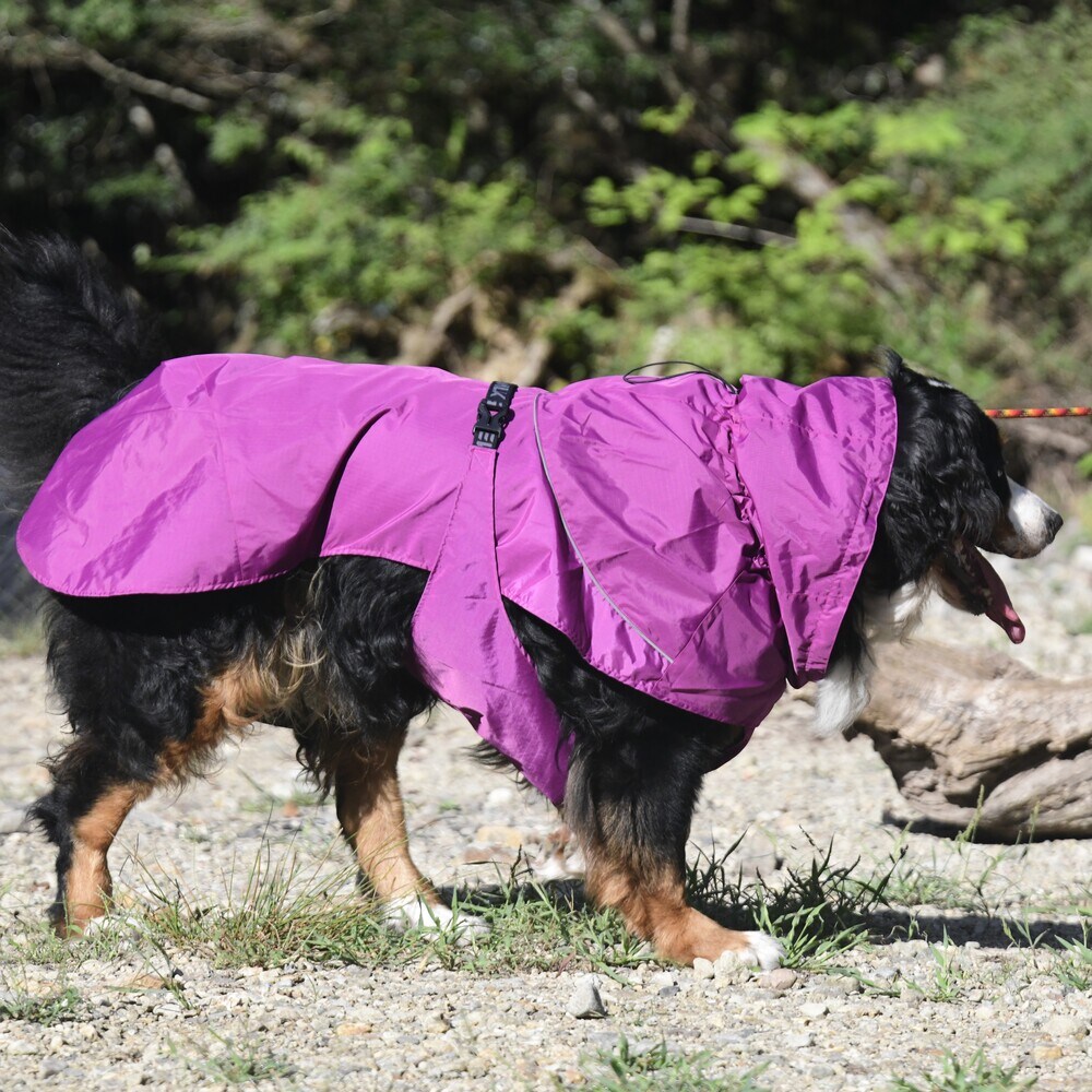 [�}���C]SHELL JACKET ECO/�W�E�H�[�N�iGEWALK�j �p�[�v��