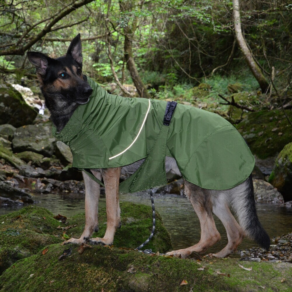 [�}���C]SHELL JACKET ECO/�W�E�H�[�N�iGEWALK�j �O���[��