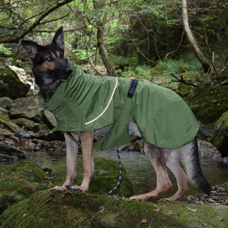 [^:LGE611-9500]yʂ̃VFWPbg͎^т₷lXȓVɓKĂ܂B}ȉJ̒łAAhHɂ萅DȂǂ̉ꂩ爤AȒPłB񌳂͒߂邱ƂłdlŁA񂩂̐≘̐Nh܂Bnɂ͌dq?̗pȊ̉𗘗pAԊOt˂AԊO̕ۉpɂÂ₷ƂȂɓK̉YT|[g܂B܂Aߕ̉x⎼xRg[AɂANKITCN@ۂ̗pAɔz@\yʃWPbgłB΋Cɋ߂ÂAɂȂꏊɕۊǂȂŉB@E@͔AK􂢁ERĉB܂gpĐ􂤍ۂɂ͒܂gpAY܂̎gp͔ĉBFF肷鋰ꂪ܂̂ő̕ƈꏏɐ킸AKPi􂢂ĉBԐɐZĂƐF鋰ꂪ܂B^u[͏kދꂪ܂̂łBvgE}[N̂ݐ􂢂ƃAC͂BgppxɂjAiꍇ܂Bjꂽۂɂ́ǍɂȂ܂̂ŁAɎgp𒆎~ĉBݍ񂾏ꍇɂ͂ɎoAbtɂkB