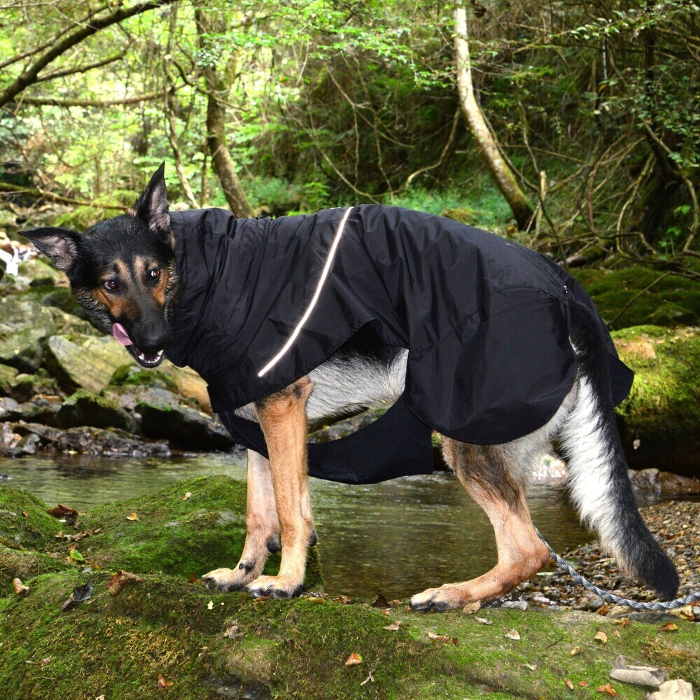 [�}���C]SHELL JACKET ECO/�W�E�H�[�N�iGEWALK�j �u���b�N