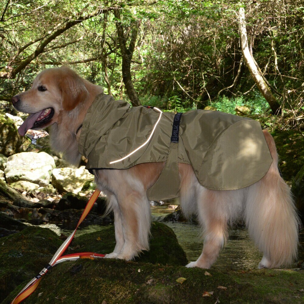 [�}���C]SHELL JACKET ECO/�W�E�H�[�N�iGEWALK�j �x�[�W��