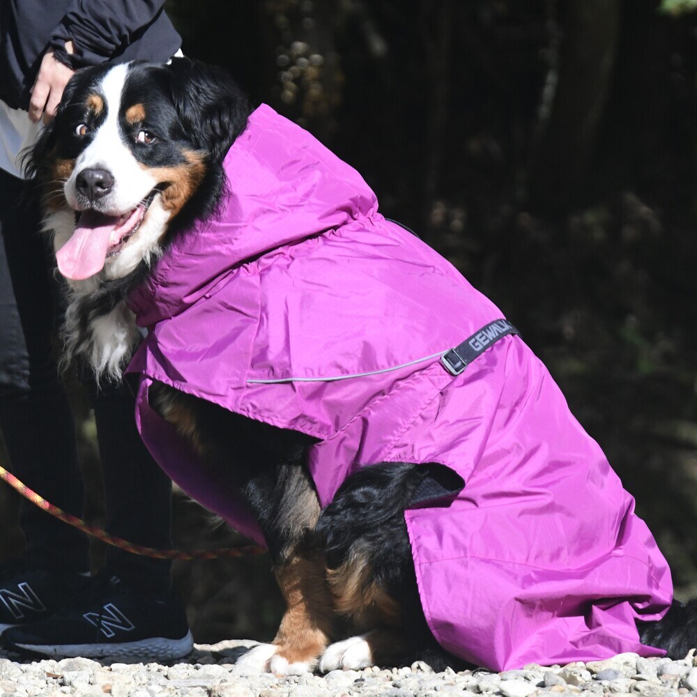 [}C]SHELL JACKET ECO/WEH[NiGEWALKj p[v
