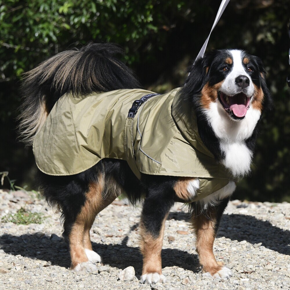 [}C]SHELL JACKET ECO/WEH[NiGEWALKj x[W