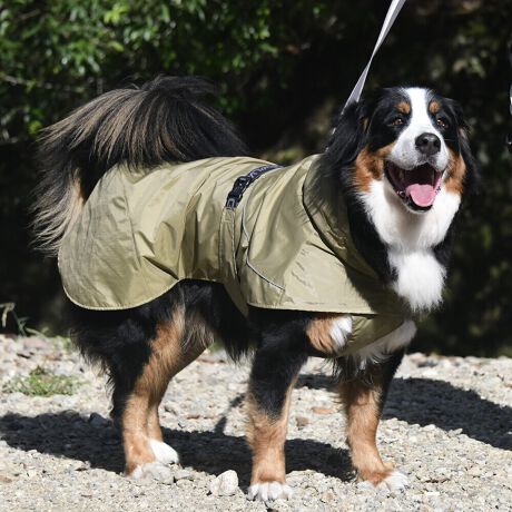 [^:LGE611-12000]yʂ̃VFWPbg͎^т₷lXȓVɓKĂ܂B}ȉJ̒łAAhHɂ萅DȂǂ̉ꂩ爤AȒPłB񌳂͒߂邱ƂłdlŁA񂩂̐≘̐Nh܂Bnɂ͌dq?̗pȊ̉𗘗pAԊOt˂AԊO̕ۉpɂÂ₷ƂȂɓK̉YT|[g܂B܂Aߕ̉x⎼xRg[AɂANKITCN@ۂ̗pAɔz@\yʃWPbgłB΋Cɋ߂ÂAɂȂꏊɕۊǂȂŉB@E@͔AK􂢁ERĉB܂gpĐ􂤍ۂɂ͒܂gpAY܂̎gp͔ĉBFF肷鋰ꂪ܂̂ő̕ƈꏏɐ킸AKPi􂢂ĉBԐɐZĂƐF鋰ꂪ܂B^u[͏kދꂪ܂̂łBvgE}[N̂ݐ􂢂ƃAC͂BgppxɂjAiꍇ܂Bjꂽۂɂ́ǍɂȂ܂̂ŁAɎgp𒆎~ĉBݍ񂾏ꍇɂ͂ɎoAbtɂkB