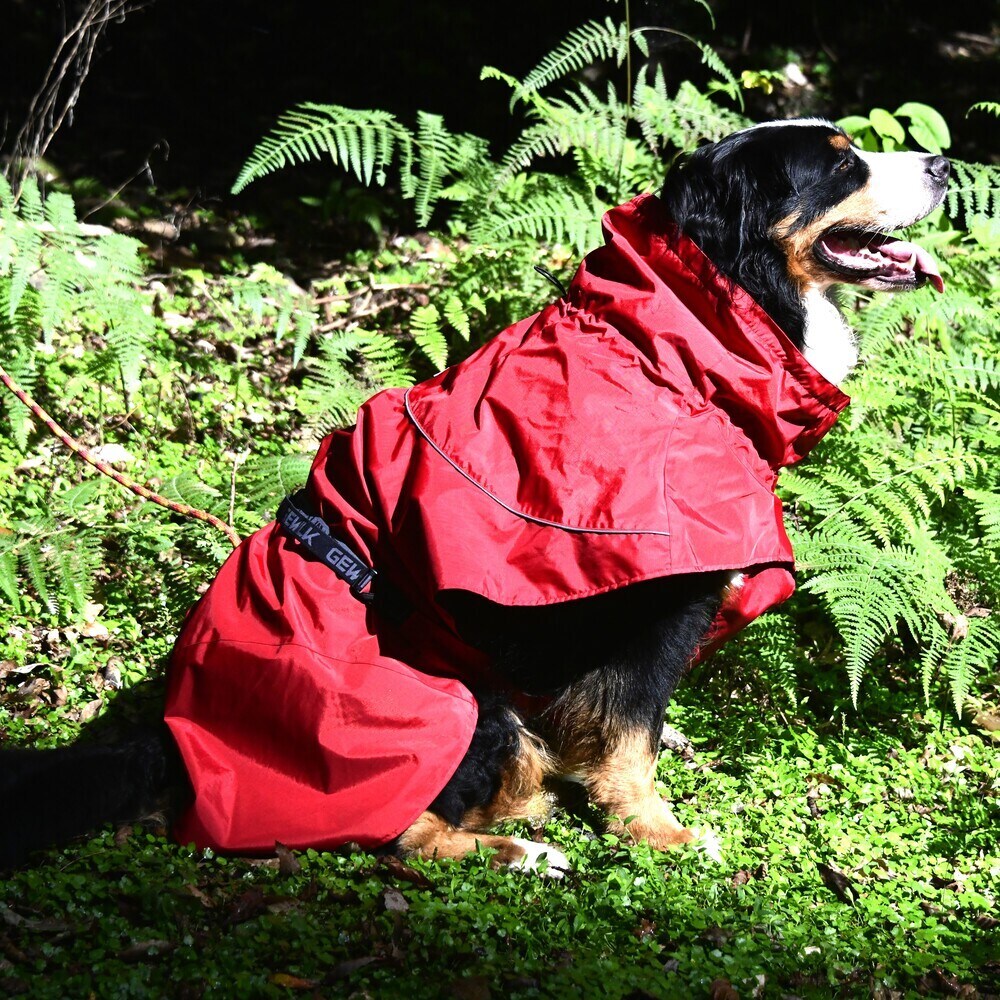 [�}���C]SHELL JACKET ECO/�W�E�H�[�N�iGEWALK�j ���b�h