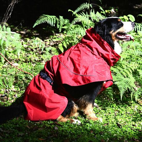 [^:LGE611-12000]yʂ̃VFWPbg͎^т₷lXȓVɓKĂ܂B}ȉJ̒łAAhHɂ萅DȂǂ̉ꂩ爤AȒPłB񌳂͒߂邱ƂłdlŁA񂩂̐≘̐Nh܂Bnɂ͌dq?̗pȊ̉𗘗pAԊOt˂AԊO̕ۉpɂÂ₷ƂȂɓK̉YT|[g܂B܂Aߕ̉x⎼xRg[AɂANKITCN@ۂ̗pAɔz@\yʃWPbgłB΋Cɋ߂ÂAɂȂꏊɕۊǂȂŉB@E@͔AK􂢁ERĉB܂gpĐ􂤍ۂɂ͒܂gpAY܂̎gp͔ĉBFF肷鋰ꂪ܂̂ő̕ƈꏏɐ킸AKPi􂢂ĉBԐɐZĂƐF鋰ꂪ܂B^u[͏kދꂪ܂̂łBvgE}[N̂ݐ􂢂ƃAC͂BgppxɂjAiꍇ܂Bjꂽۂɂ́ǍɂȂ܂̂ŁAɎgp𒆎~ĉBݍ񂾏ꍇɂ͂ɎoAbtɂkB