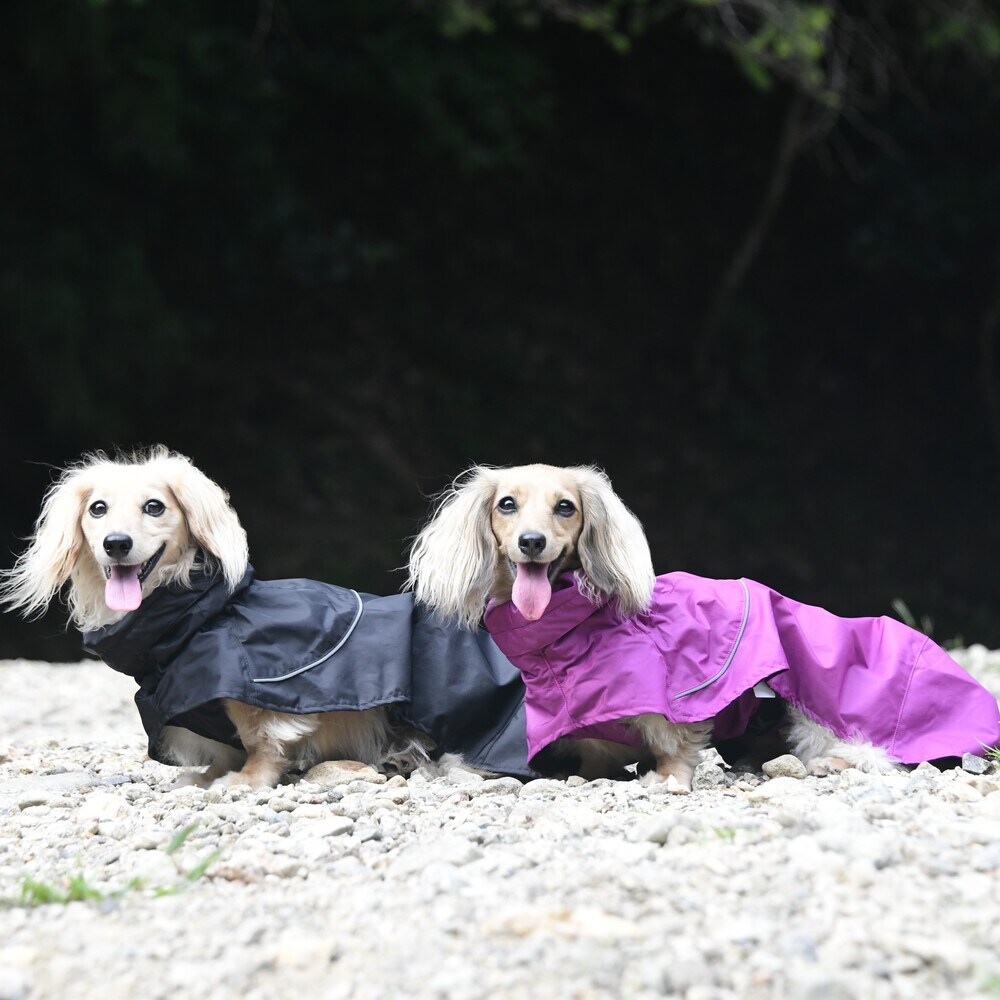 [�}���C]SHELL JACKET ECO/�W�E�H�[�N�iGEWALK�j �u���b�N