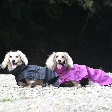 [^:LGE611-5300DL]yʂ̃VFWPbg͎^т₷lXȓVɓKĂ܂B}ȉJ̒łAAhHɂ萅DȂǂ̉ꂩ爤AȒPłB񌳂͒߂邱ƂłdlŁA񂩂̐≘̐Nh܂Bnɂ͌dq?̗pȊ̉𗘗pAԊOt˂AԊO̕ۉpɂÂ₷ƂȂɓK̉YT|[g܂B܂Aߕ̉x⎼xRg[AɂANKITCN@ۂ̗pAɔz@\yʃWPbgłB΋Cɋ߂ÂAɂȂꏊɕۊǂȂŉB@E@͔AK􂢁ERĉB܂gpĐ􂤍ۂɂ͒܂gpAY܂̎gp͔ĉBFF肷鋰ꂪ܂̂ő̕ƈꏏɐ킸AKPi􂢂ĉBԐɐZĂƐF鋰ꂪ܂B^u[͏kދꂪ܂̂łBvgE}[N̂ݐ􂢂ƃAC͂BgppxɂjAiꍇ܂Bjꂽۂɂ́ǍɂȂ܂̂ŁAɎgp𒆎~ĉBݍ񂾏ꍇɂ͂ɎoAbtɂkB