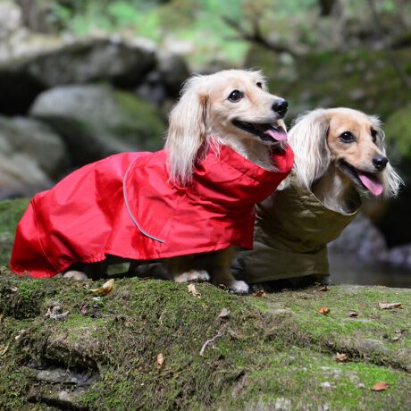 [^:LGE611-5300DL]yʂ̃VFWPbg͎^т₷lXȓVɓKĂ܂B}ȉJ̒łAAhHɂ萅DȂǂ̉ꂩ爤AȒPłB񌳂͒߂邱ƂłdlŁA񂩂̐≘̐Nh܂Bnɂ͌dq?̗pȊ̉𗘗pAԊOt˂AԊO̕ۉpɂÂ₷ƂȂɓK̉YT|[g܂B܂Aߕ̉x⎼xRg[AɂANKITCN@ۂ̗pAɔz@\yʃWPbgłB΋Cɋ߂ÂAɂȂꏊɕۊǂȂŉB@E@͔AK􂢁ERĉB܂gpĐ􂤍ۂɂ͒܂gpAY܂̎gp͔ĉBFF肷鋰ꂪ܂̂ő̕ƈꏏɐ킸AKPi􂢂ĉBԐɐZĂƐF鋰ꂪ܂B^u[͏kދꂪ܂̂łBvgE}[N̂ݐ􂢂ƃAC͂BgppxɂjAiꍇ܂Bjꂽۂɂ́ǍɂȂ܂̂ŁAɎgp𒆎~ĉBݍ񂾏ꍇɂ͂ɎoAbtɂkB