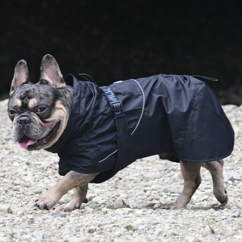 [}C]SHELL JACKET ECO/WEH[NiGEWALKj ubN