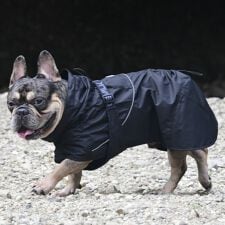 ジウォーク(GEWALK)のＳＨＥＬＬ　ＪＡＣＫＥＴ　ＥＣＯ