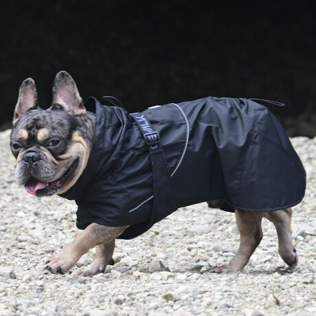 [^:LGE611-6000BL]yʂ̃VFWPbg͎^т₷lXȓVɓKĂ܂B}ȉJ̒łAAhHɂ萅DȂǂ̉ꂩ爤AȒPłB񌳂͒߂邱ƂłdlŁA񂩂̐≘̐Nh܂Bnɂ͌dq?̗pȊ̉𗘗pAԊOt˂AԊO̕ۉpɂÂ₷ƂȂɓK̉YT|[g܂B܂Aߕ̉x⎼xRg[AɂANKITCN@ۂ̗pAɔz@\yʃWPbgłB΋Cɋ߂ÂAɂȂꏊɕۊǂȂŉB@E@͔AK􂢁ERĉB܂gpĐ􂤍ۂɂ͒܂gpAY܂̎gp͔ĉBFF肷鋰ꂪ܂̂ő̕ƈꏏɐ킸AKPi􂢂ĉBԐɐZĂƐF鋰ꂪ܂B^u[͏kދꂪ܂̂łBvgE}[N̂ݐ􂢂ƃAC͂BgppxɂjAiꍇ܂Bjꂽۂɂ́ǍɂȂ܂̂ŁAɎgp𒆎~ĉBݍ񂾏ꍇɂ͂ɎoAbtɂkB