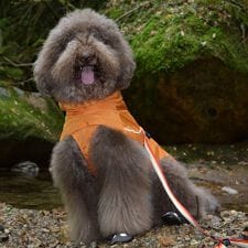 ジウォーク(GEWALK)のＳＨＥＬＬ　ＪＡＣＫＥＴ　ＥＣＯ