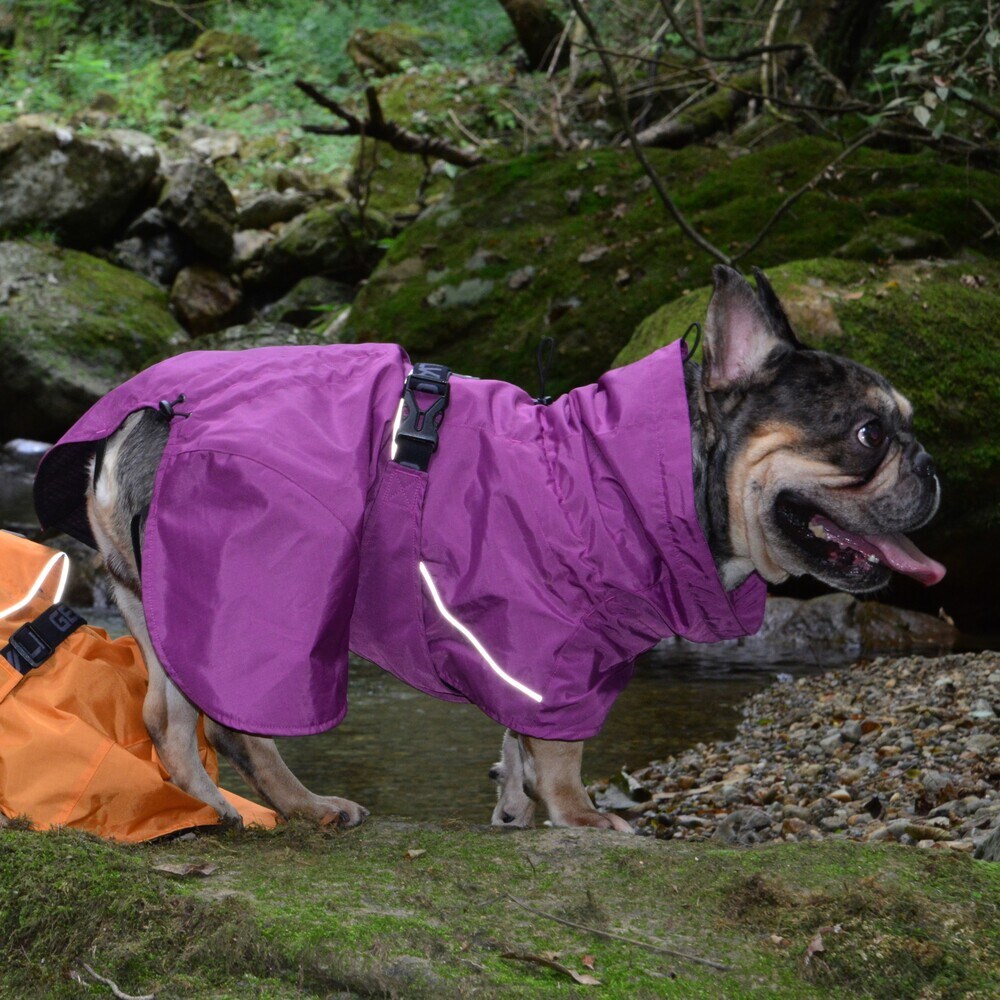 [�}���C]SHELL JACKET ECO/�W�E�H�[�N�iGEWALK�j �p�[�v��