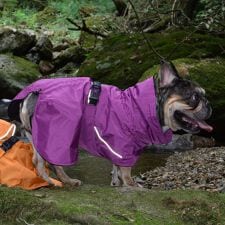 ジウォーク(GEWALK)のＳＨＥＬＬ　ＪＡＣＫＥＴ　ＥＣＯ