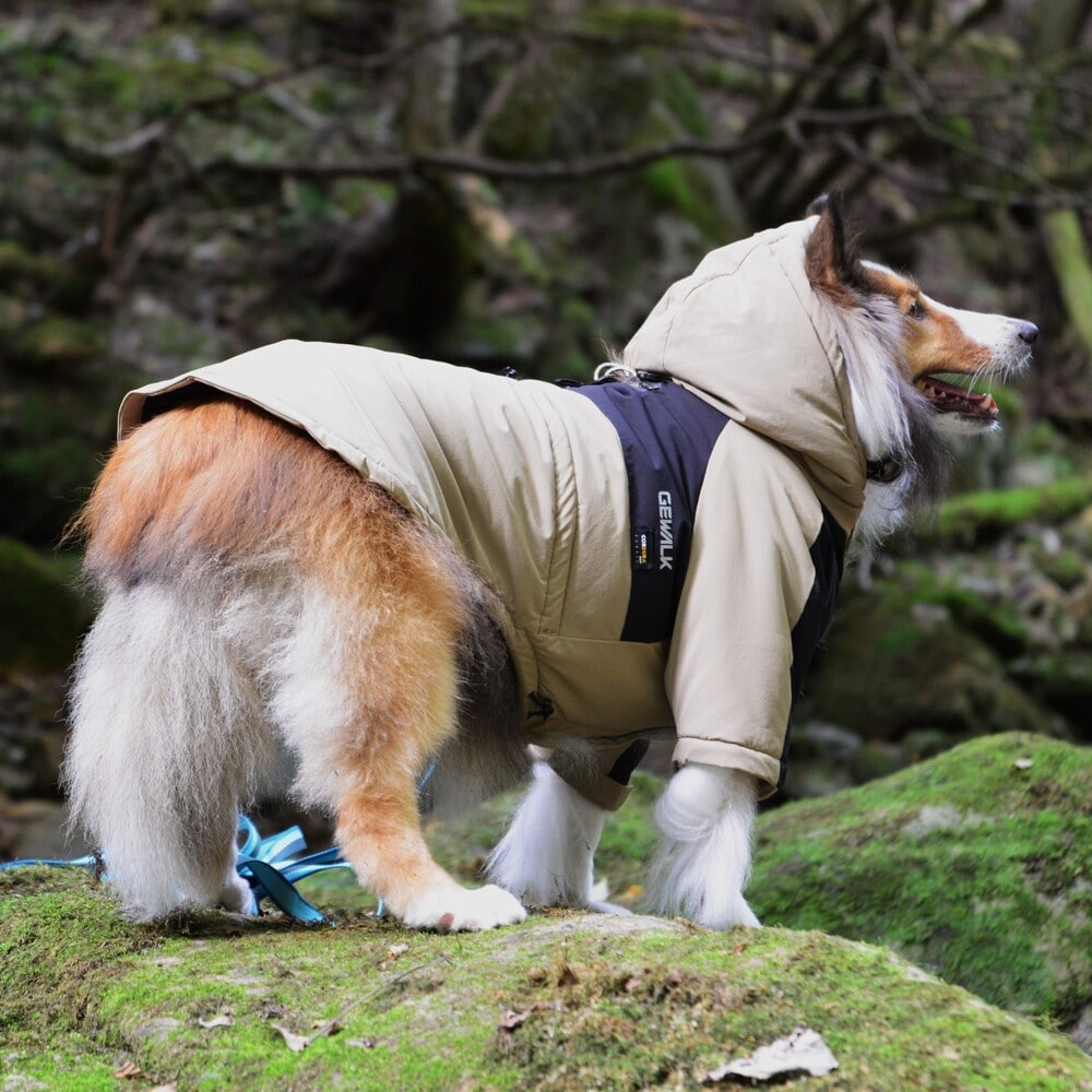[}C]CORDURA THERMAL SHELL JACKET/WEH[NiGEWALKj x[W