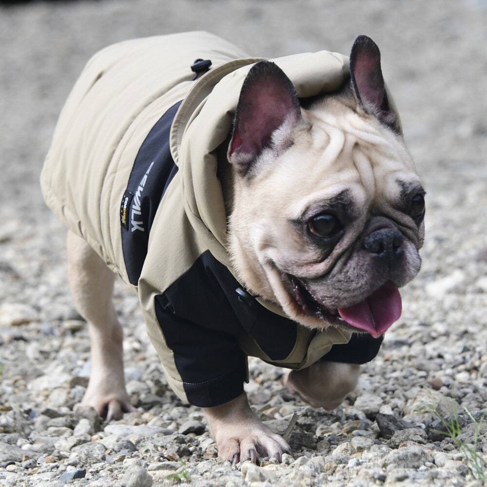 [}C]CORDURA THERMAL SHELL JACKET/WEH[NiGEWALKj x[W