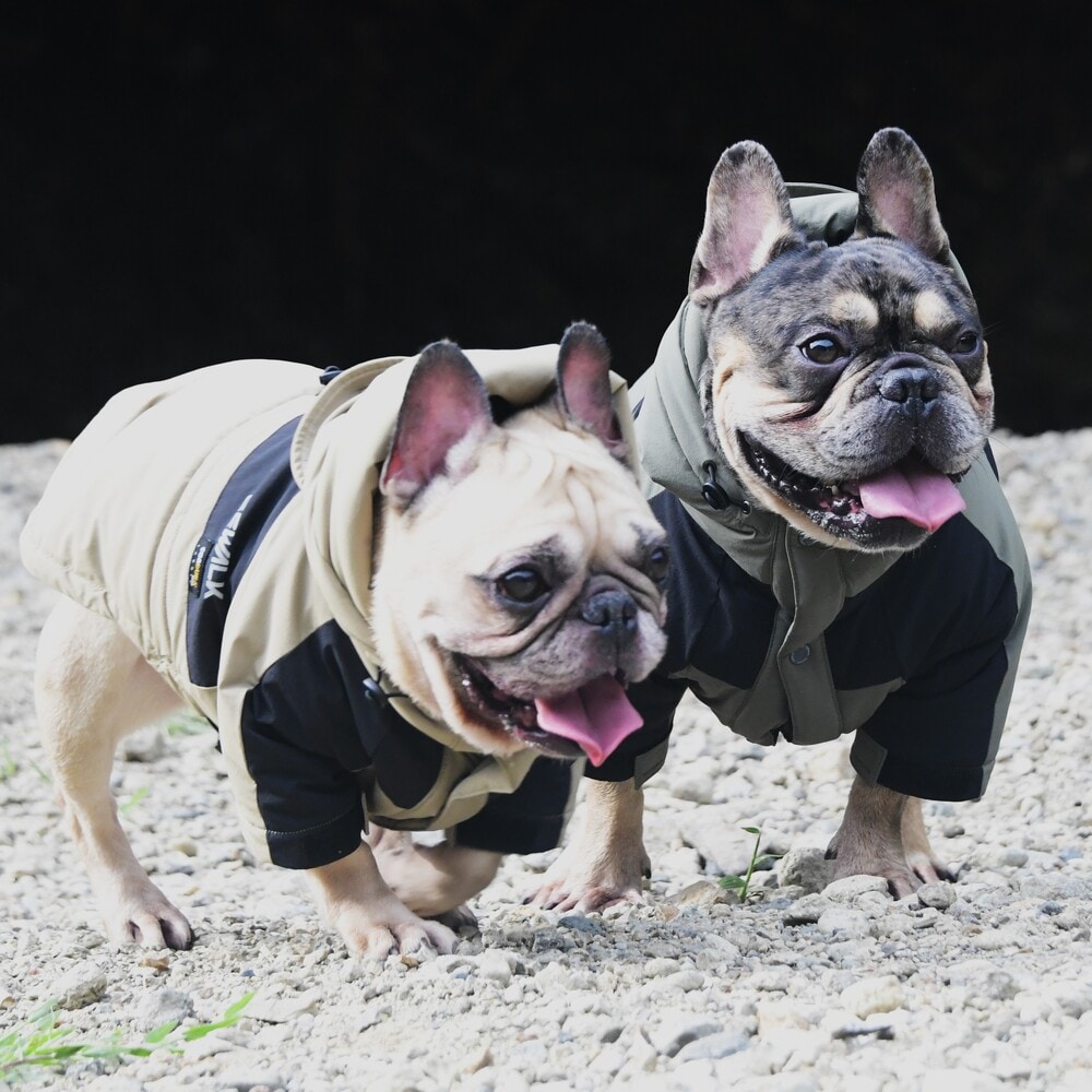 [}C]CORDURA THERMAL SHELL JACKET/WEH[NiGEWALKj x[W