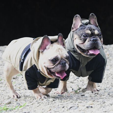 [^:LGE609-9000BL]Ȃ|GXet@Co[𓋍ڂT[}WPbgBbnqctq`?̗pAC􂫁AC؂ɂƂĂAɂDĂ܂B܂Acdwehk?@͒fނׁ̈AyʂŋC܂ނƂɂO̊CՒfAnׂ͂ăt[XɂȂĂAۉɃvXB~łgAĝKɕۂ܂B΋Cɋ߂ÂAɂȂꏊɕۊǂȂŉB@E@͔AK􂢁ERĉB܂gpĐ􂤍ۂɂ͒܂gpAY܂̎gp͔ĉBFF肷鋰ꂪ܂̂ő̕ƈꏏɐ킸AKPi􂢂ĉBԐɐZĂƐF鋰ꂪ܂B^u[͏kދꂪ܂̂łBvgE}[N̂ݐ􂢂ƃAC͂BgppxɂjAiꍇ܂Bjꂽۂɂ́ǍɂȂ܂̂ŁAɎgp𒆎~ĉBݍ񂾏ꍇɂ͂ɎoAbtɂkB