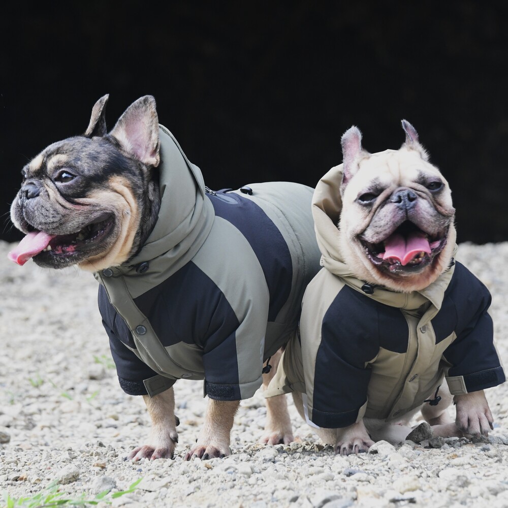 [}C]CORDURA THERMAL SHELL JACKET/WEH[NiGEWALKj I[u