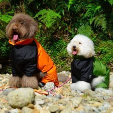 ジウォーク(GEWALK)のＤＲＩＺＺＬＥ　ＴＨＥＲＭＡＬ　ＯＶＥＲＡＬＬ