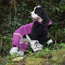 ジウォーク(GEWALK)のＤＲＩＺＺＬＥ　ＴＨＥＲＭＡＬ　ＯＶＥＲＡＬＬ