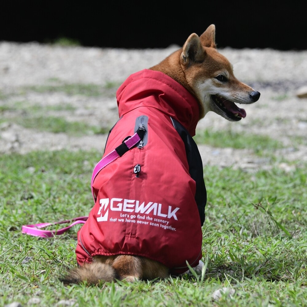 [}C]DRIZZLE THERMAL OVERALL/WEH[NiGEWALKj bh